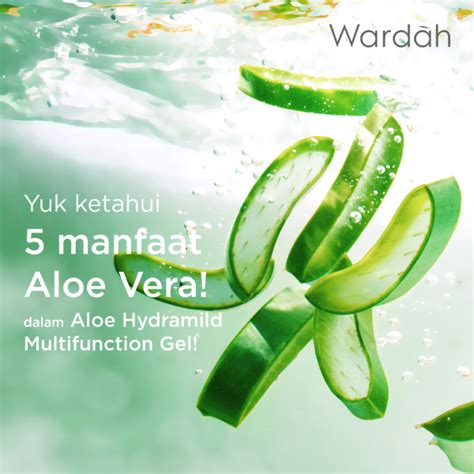 Manfaat Kebahagiaan dan Manfaat Aloe Vera Wardah untuk Wajah